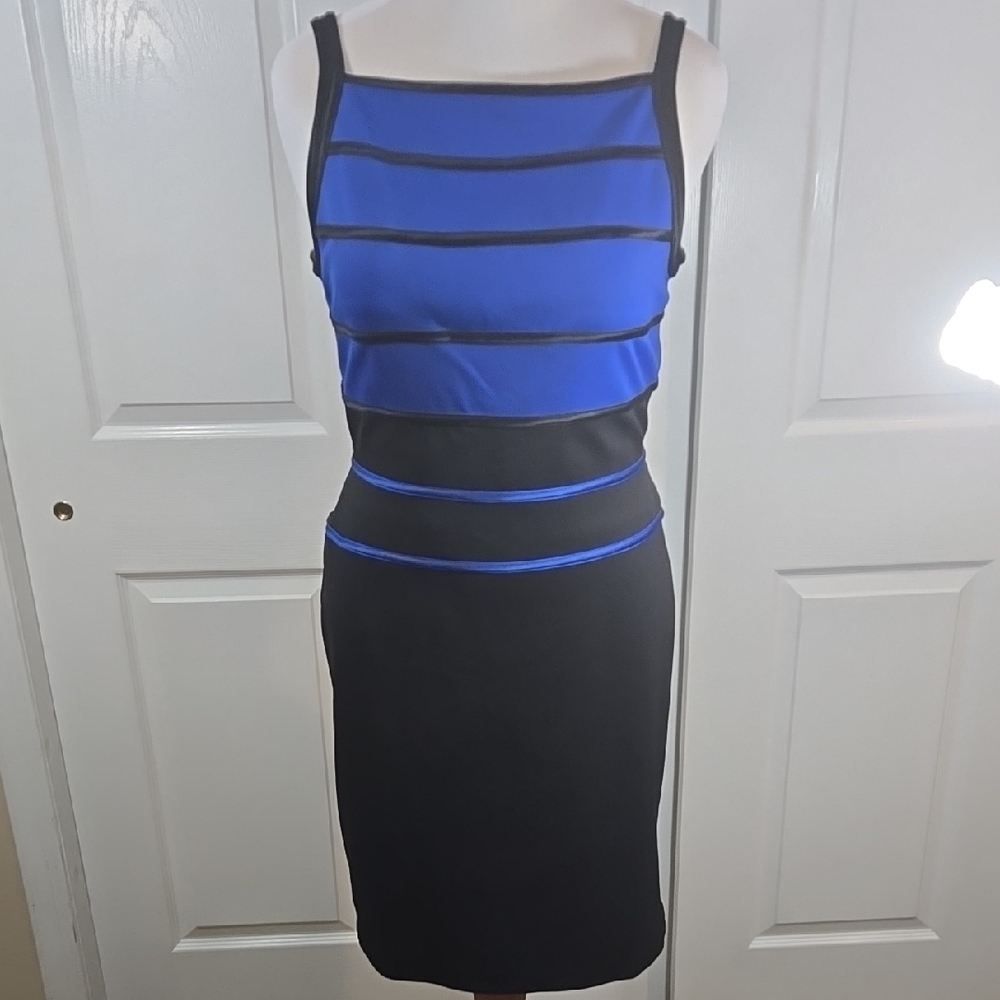 Blue and Black Women's Dress
